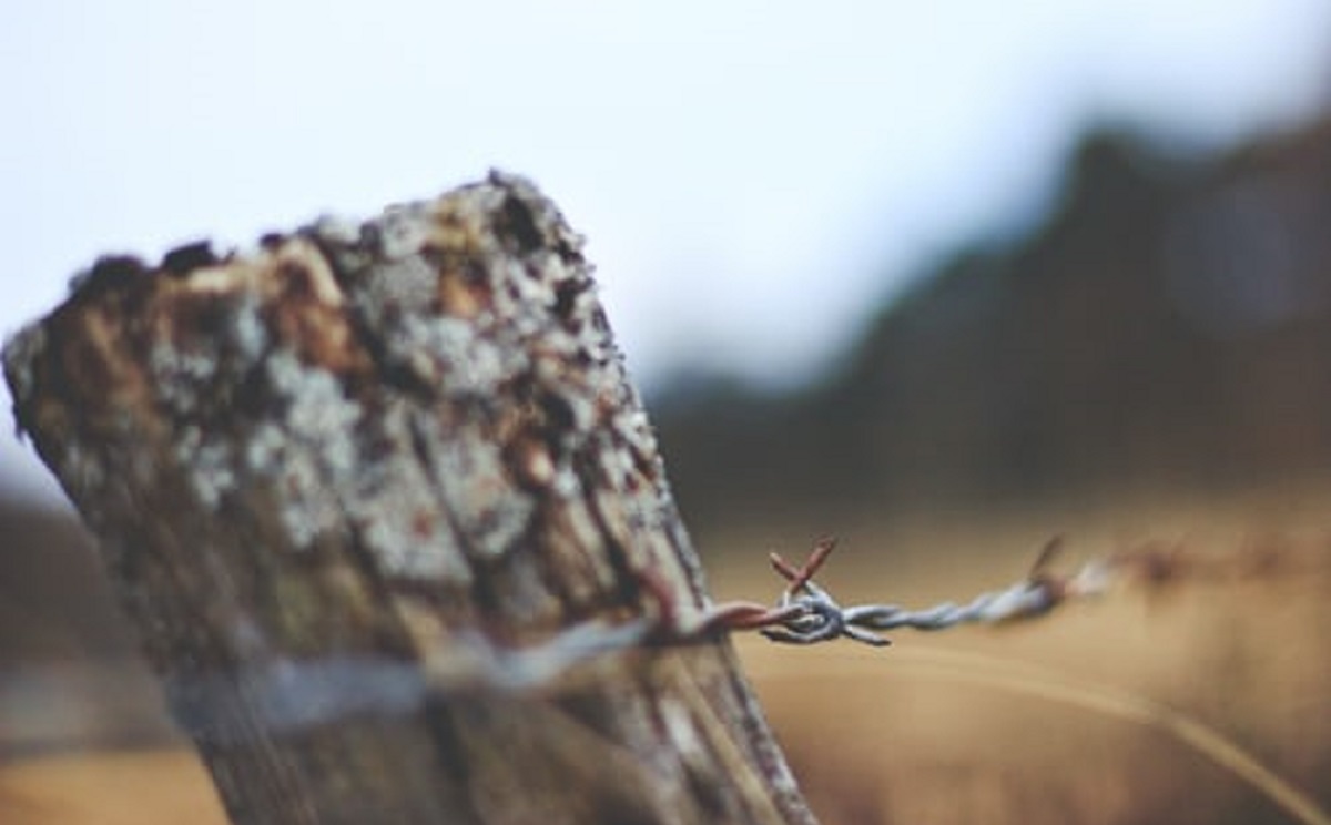 BARBED WIRE