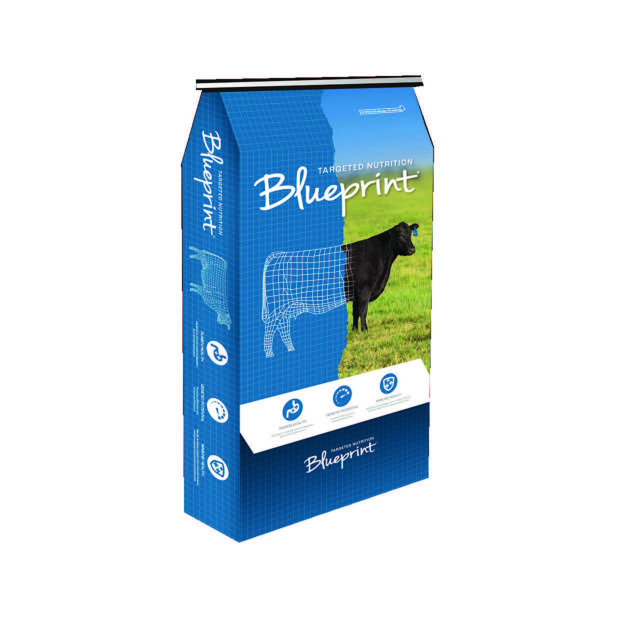 BLUEPRINT CATTLE 6000CTC GARLIUM