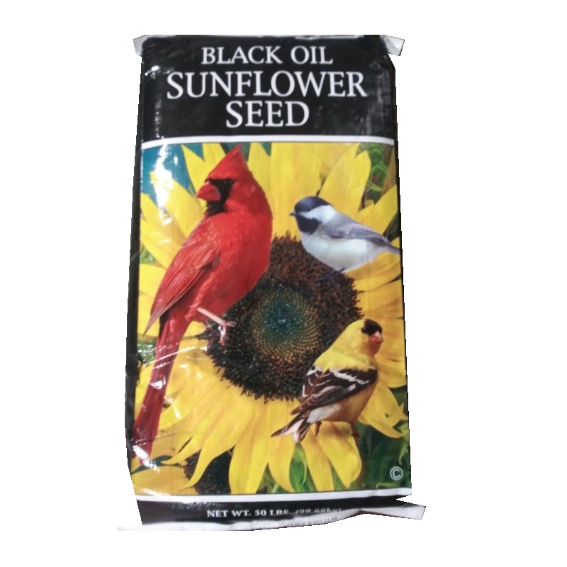 BLACK OIL SUNFLOWER SEED 50#