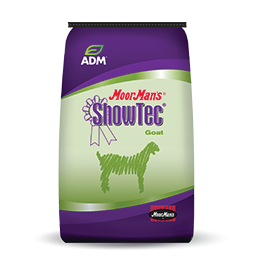 ADM SHOWTEC ELITE GOAT RU