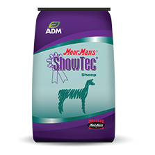 ADM SHOWTEC ELITE LAMB 18