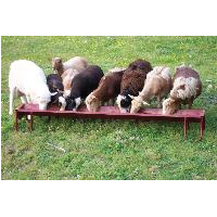 BJ 4FT GOAT FEEDER