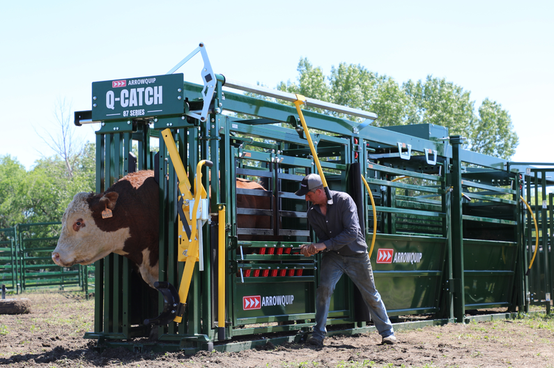 CATTLE WORKING EQUIPMENT