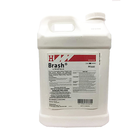 BRASH 2.5 GALLON