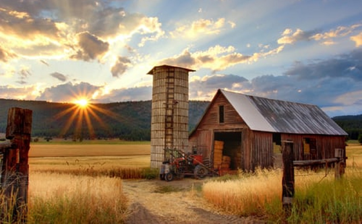 FARM &amp; HOME