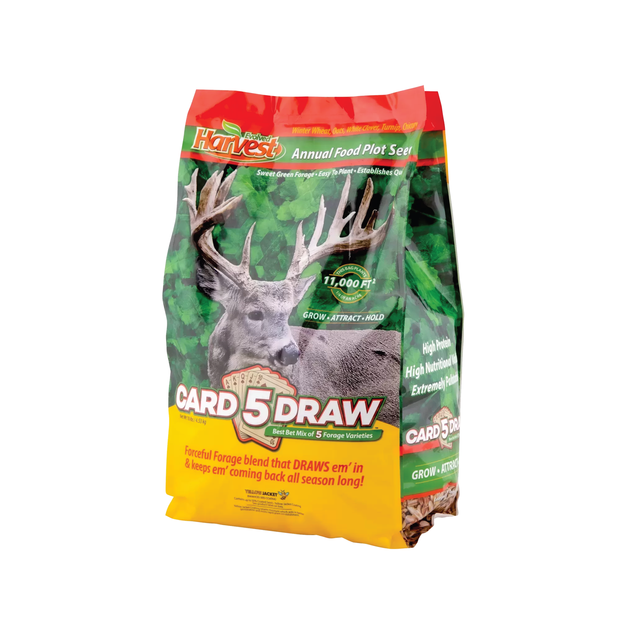 5 CARD DRAW SEED MIX 10LB