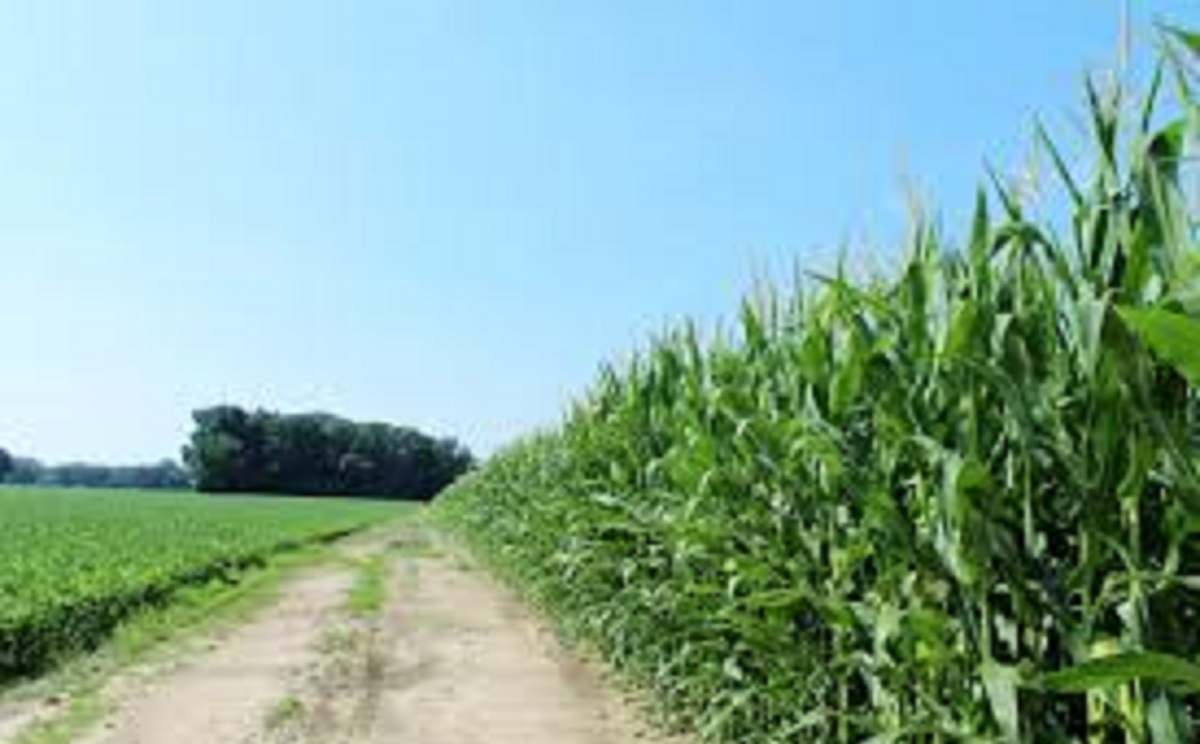 FOOD PLOT PRODUCTS