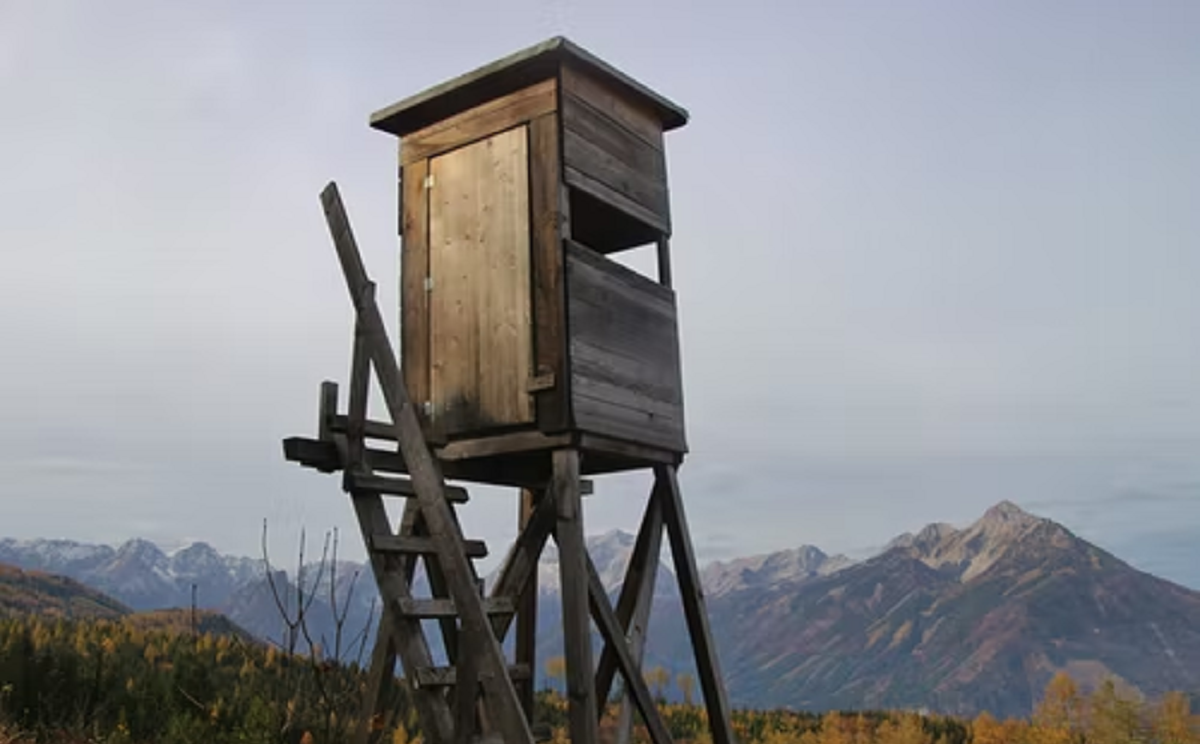 BLINDS, STANDS, &amp; FEEDERS