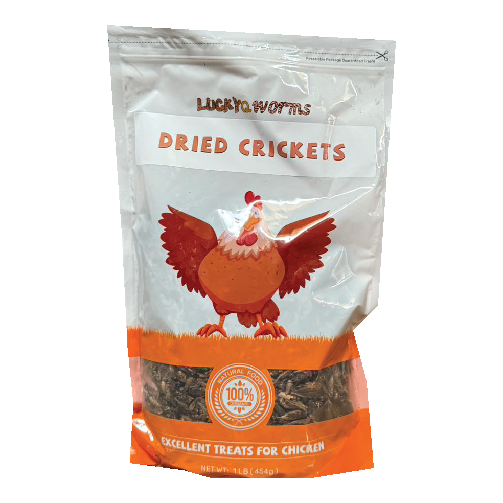 LUCKYQ 1LB DRIED CRICKETS