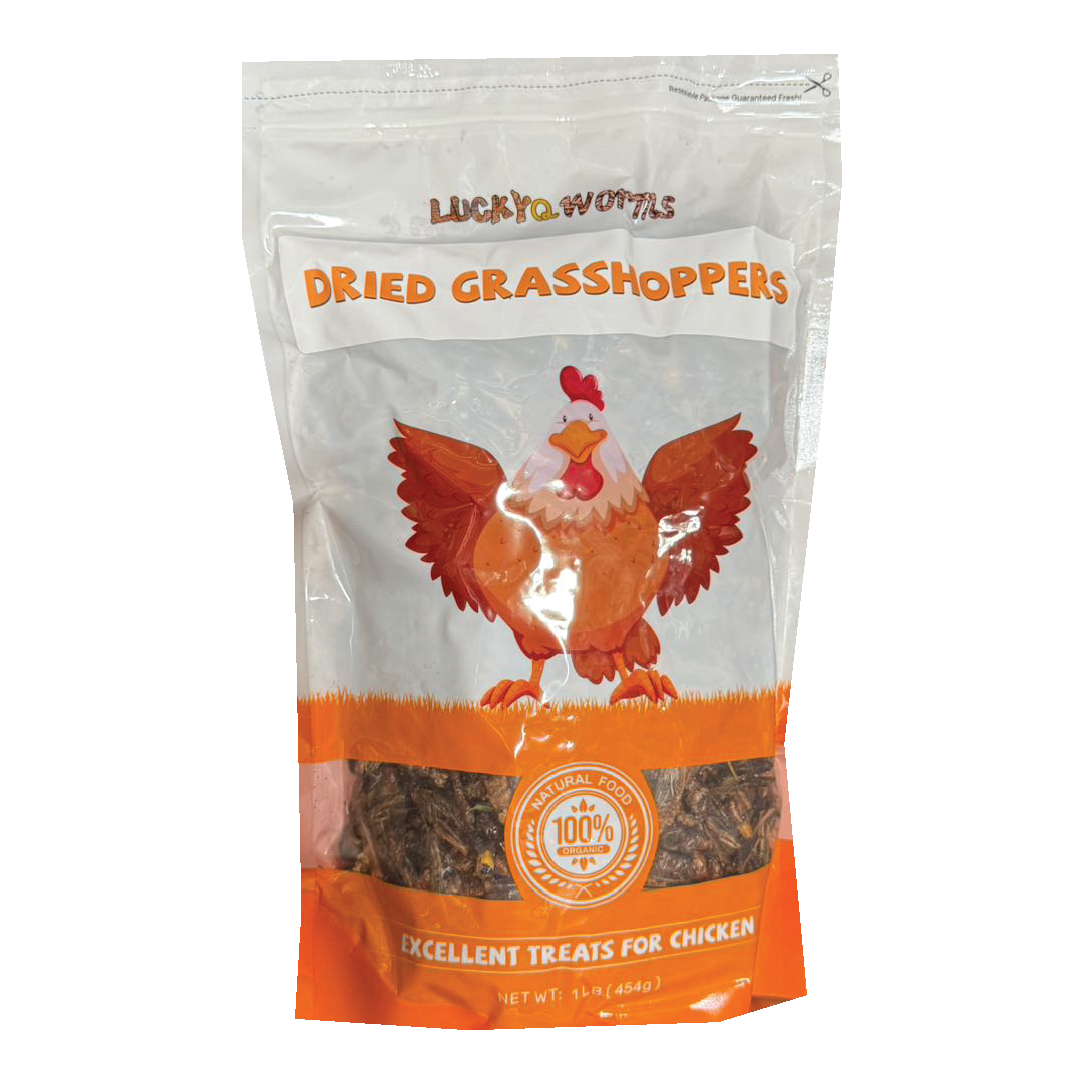 LUCKYQ 1LB DRIED GRASSHOPPERS