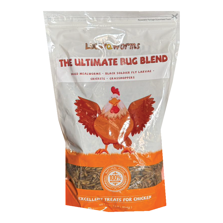 LUCKYQ 1LB ULTIMATE BUG BLEND