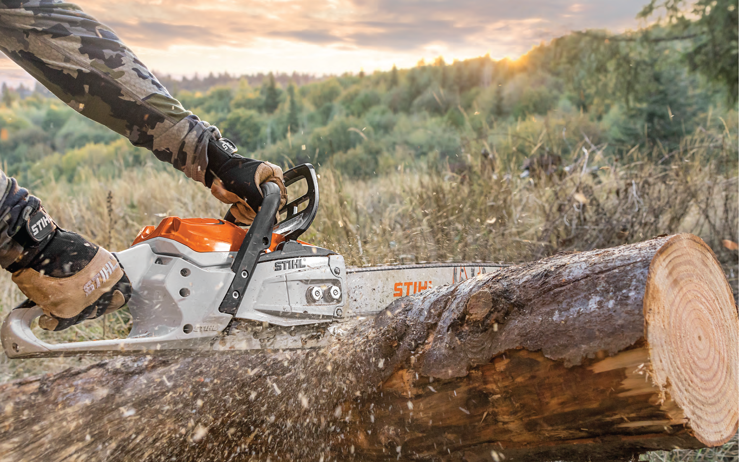 CHAINSAWS