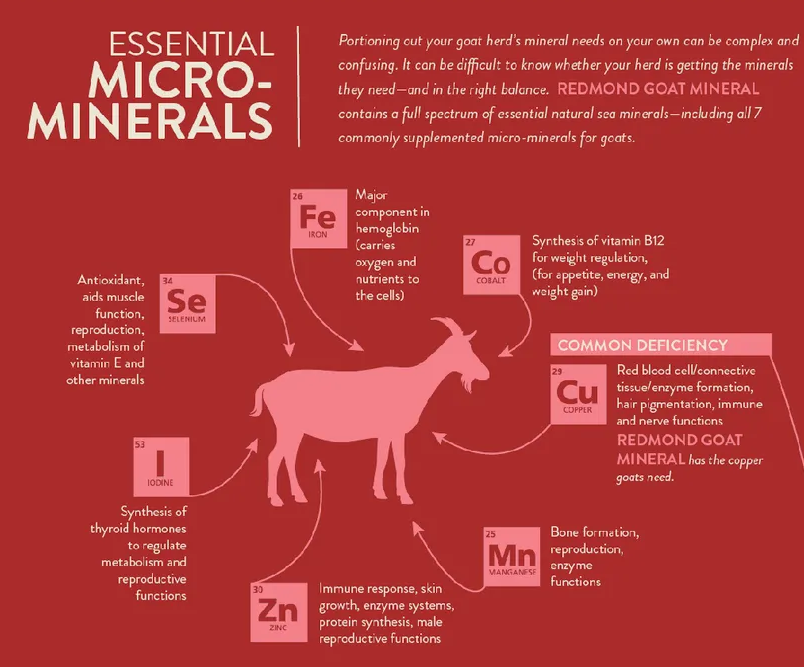 REDMOND GOAT MINERAL 5# 100149