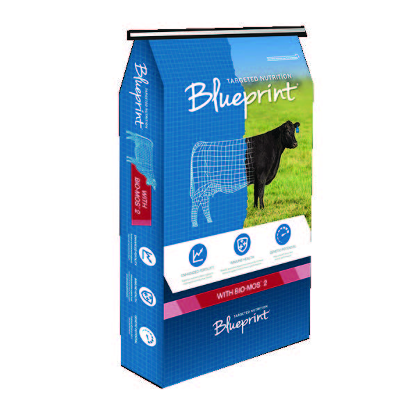 BLUEPRINT CALVING MINERAL