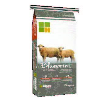 BLUEPRINT SHEEP MINERAL