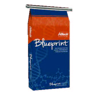 BLUEPRINT GOAT MINERAL