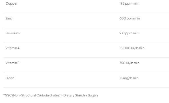 UNBEETABLE BALANCE FEED