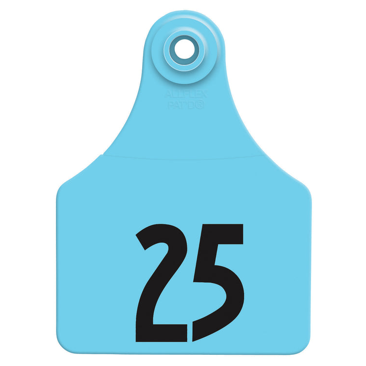 ALLFLEX LARGE BLUE EAR TAGS #51-75