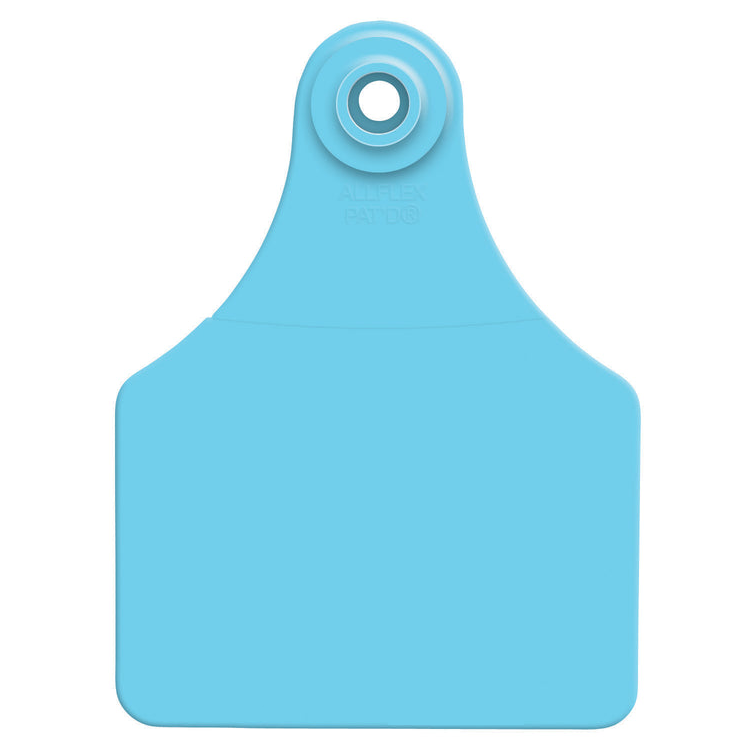 ALLFLEX LARGE BLANK EAR TAGS - BLUE 25PK
