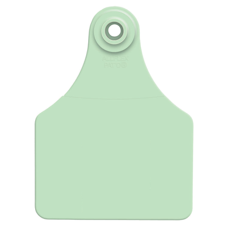 ALLFLEX LARGE BLANK EAR TAGS - GREEN 25PK