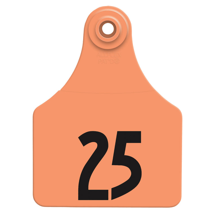 ALLFLEX LARGE ORANGE EAR TAGS #26-50