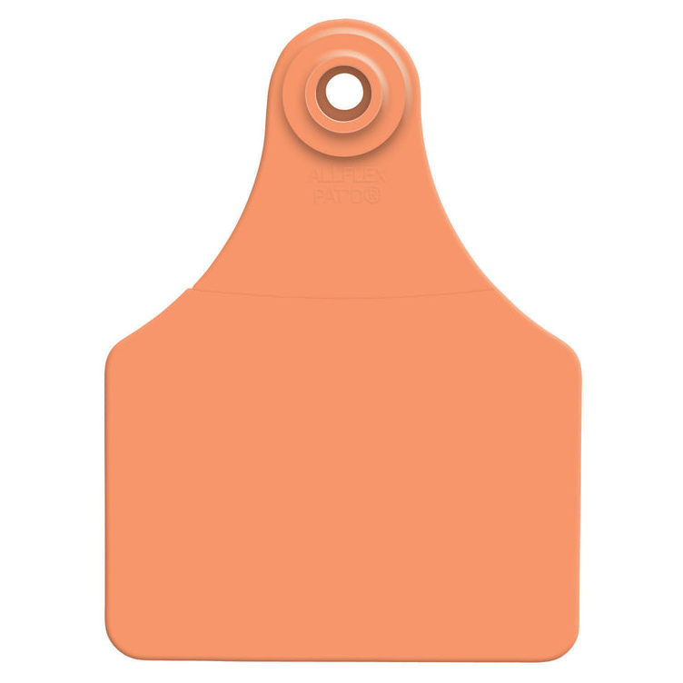ALLFLEX LARGE BLANK EAR TAGS - ORANGE 25PK
