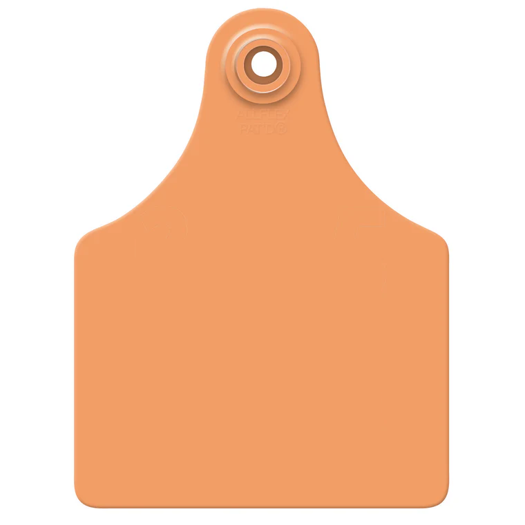 ALLFLEX MAXI BLANK EAR TAGS - ORANGE 25PK