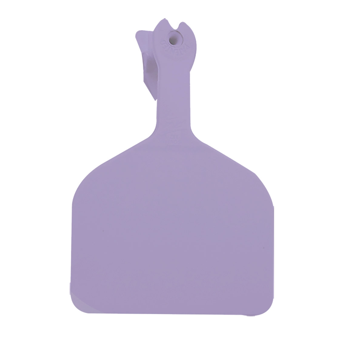 EAR TAG BLANK FEEDLOT PURPL 50CT