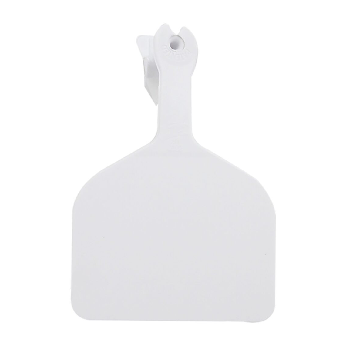 Z-TAG FEEDLOT BLANK EAR TAGS - WHITE 50PK