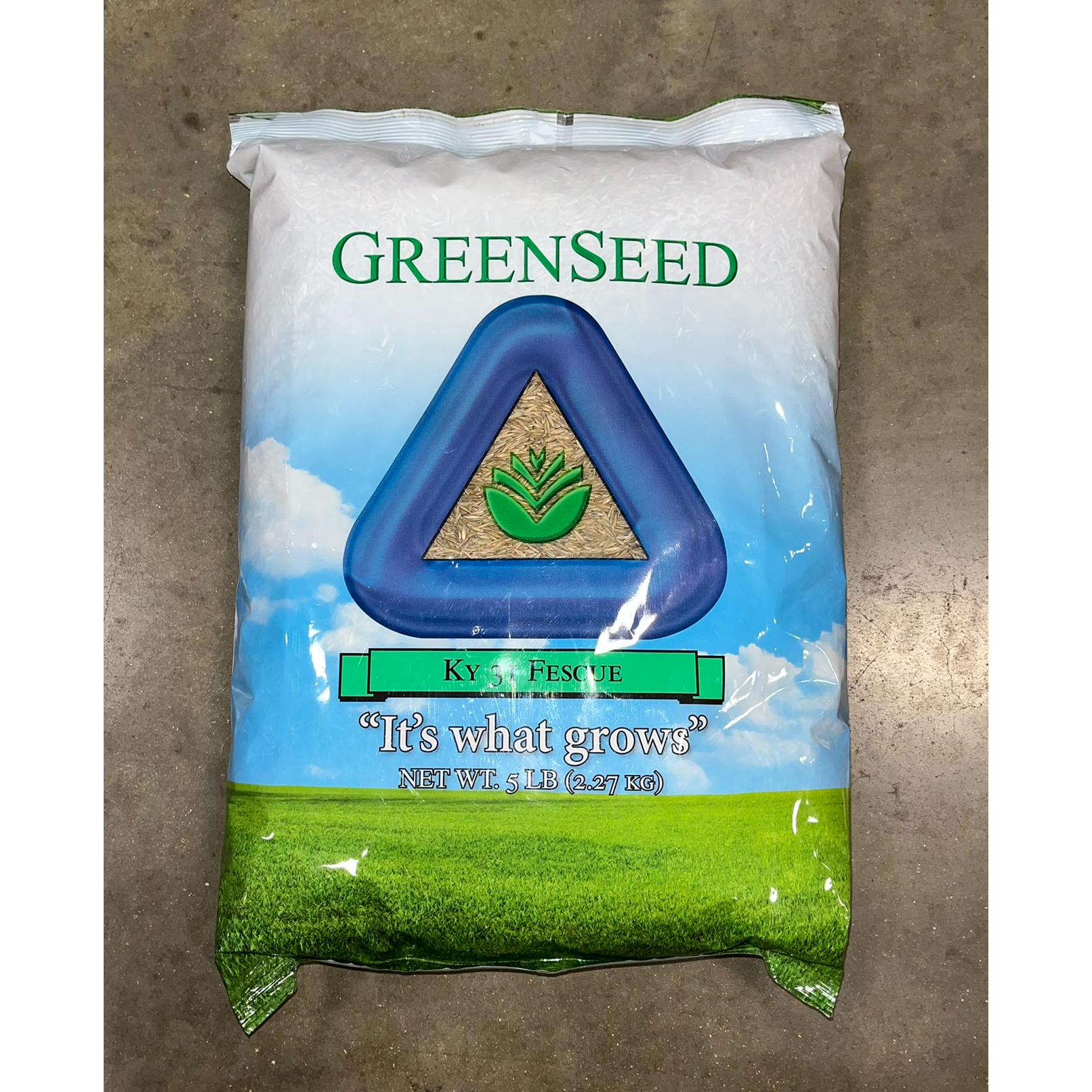 SEED FESCUE KENTUCKY 31- 5#)