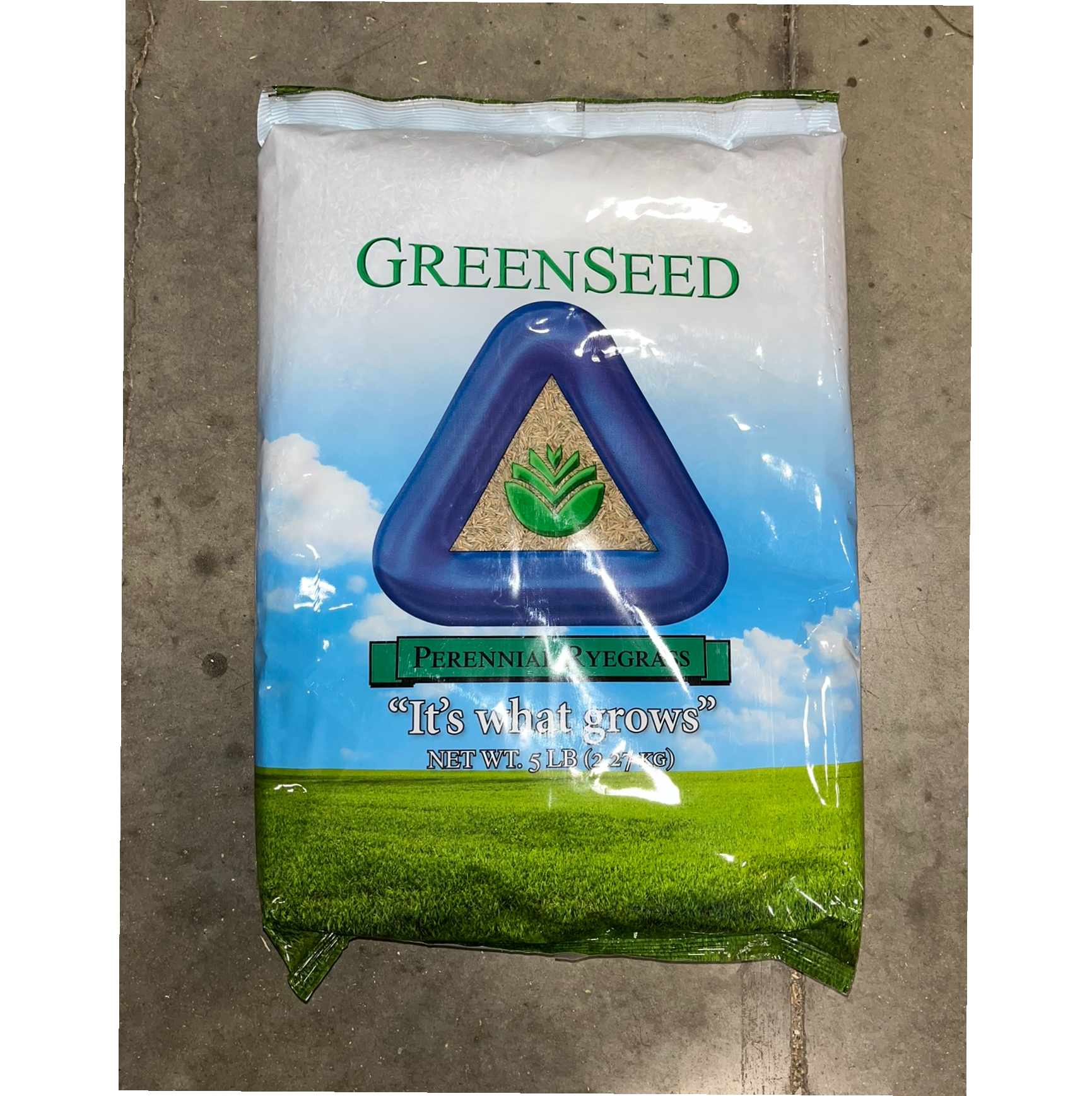 SEED RYEGRASS PERENNIAL VNS 5#)