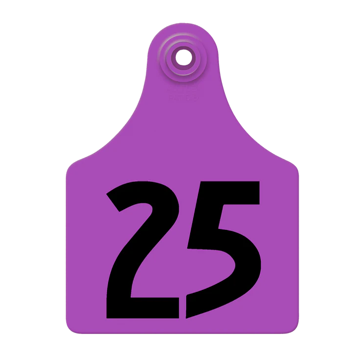 ALLFLEX MAXI PURPLE EAR TAGS #51-75