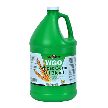 ANIMED WHEAT GERM OIL BLEND 1 GALLON