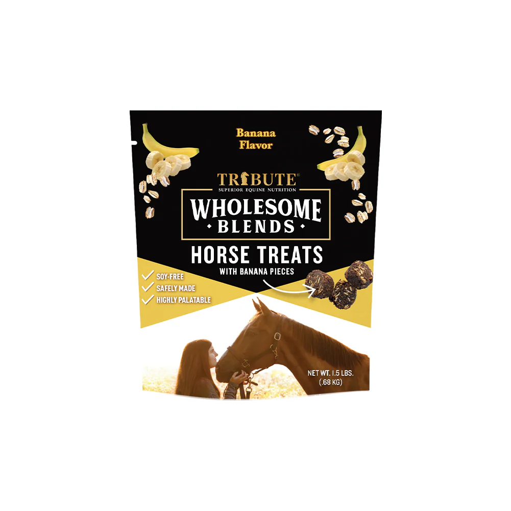 WHOLESOME BLENDS BANANA FLAVOR HORSE TREATS - 1.5#