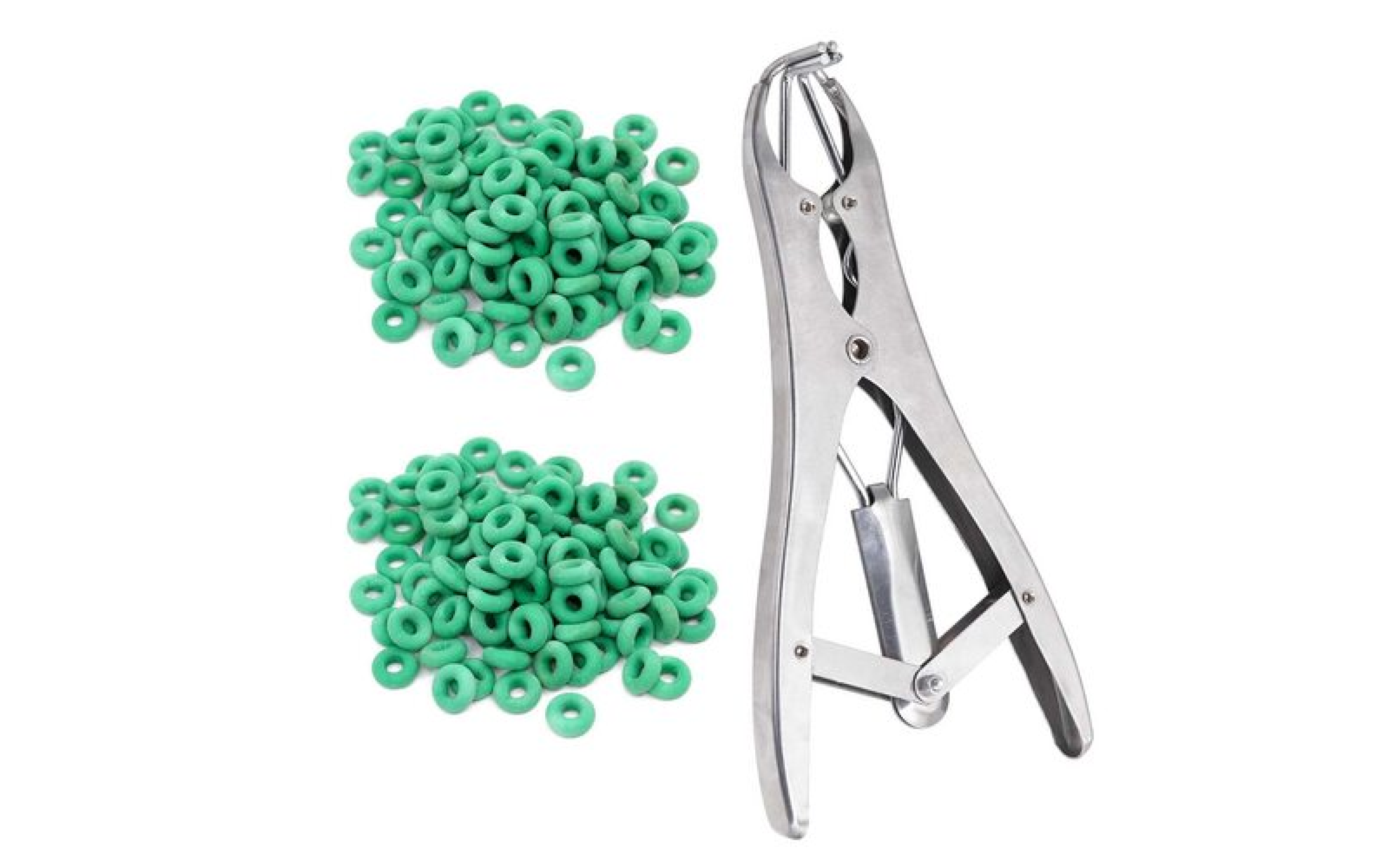 CASTRATION &amp; DEHORNING EQUIPMENT