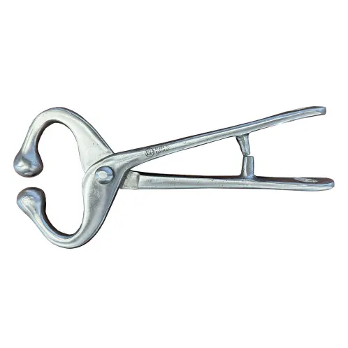 BULL LEAD W/O CHAIN