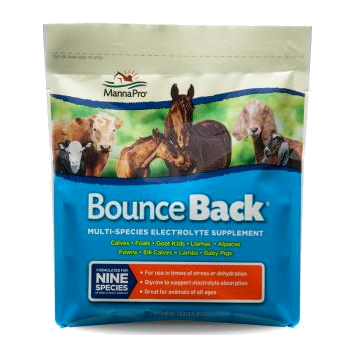 MANNA PRO BOUNCE BACK MULTI-SPECIES ELECTROLYTES 4OZ