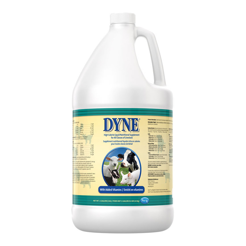 DYNE HIGH CALORIE FOR LIVESTOCK 1GAL