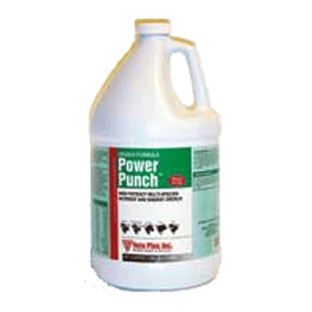 POWER PUNCH DRENCH 8 OZ