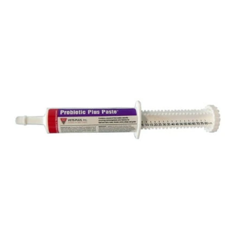 PROBIOTIC PLUS PASTE - 80 ML