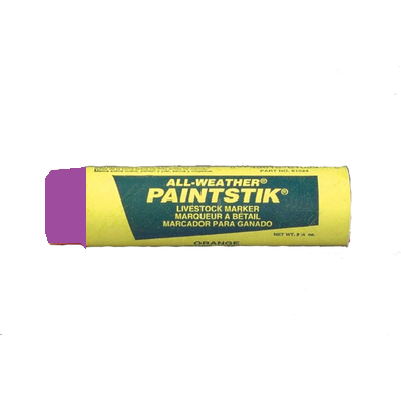 PAINT STICK PURPLE