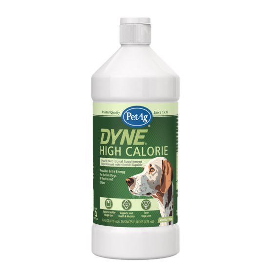 PETAG DYNE HIGH CALORIE FOR DOGS 16OZ