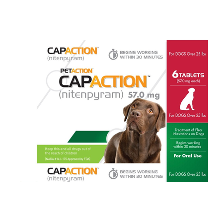 PET IQ CAPACTION LARGE DOG