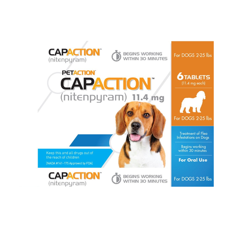 PET IQ CAPACTION SMALL DOG