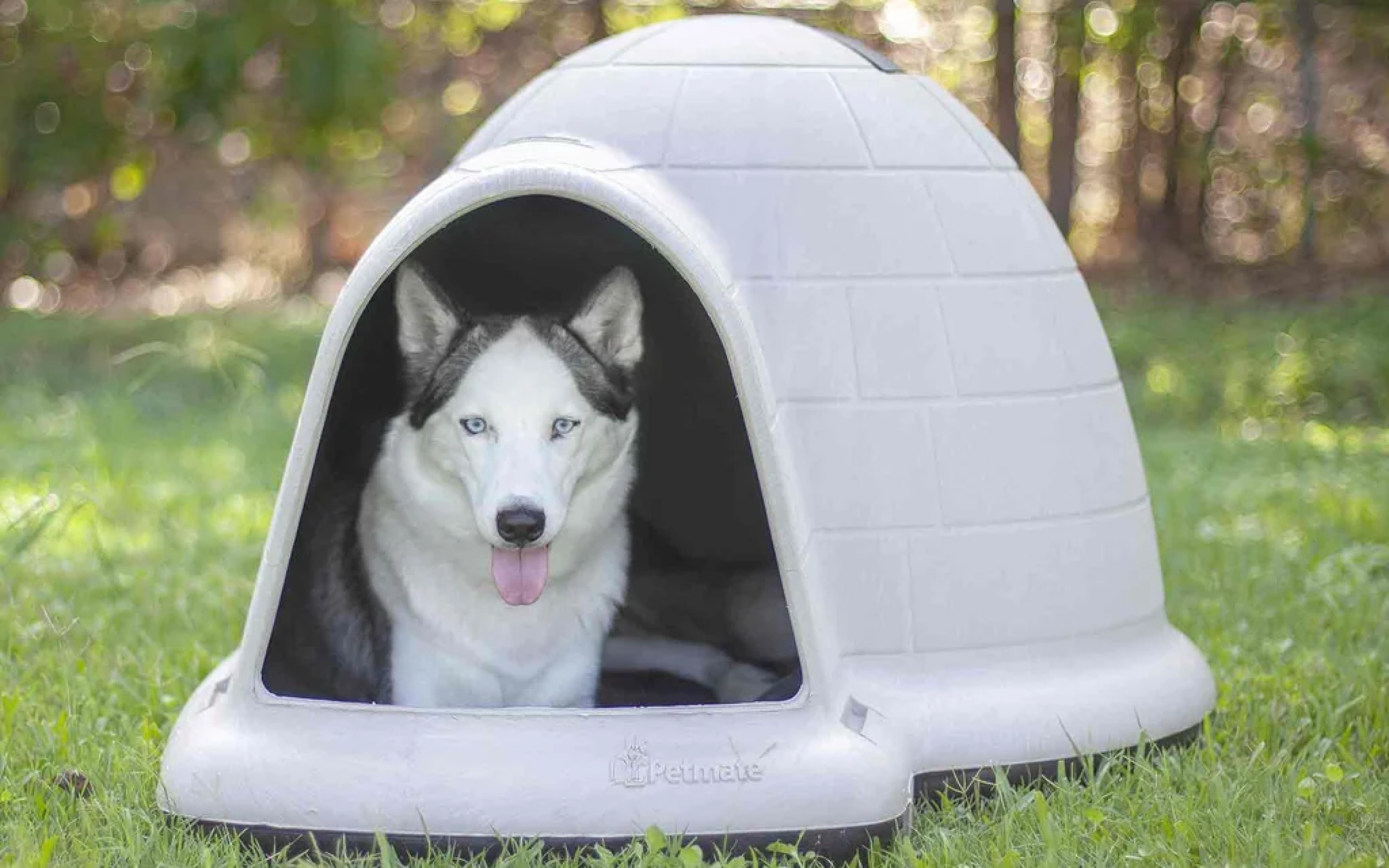 DOG HOUSES