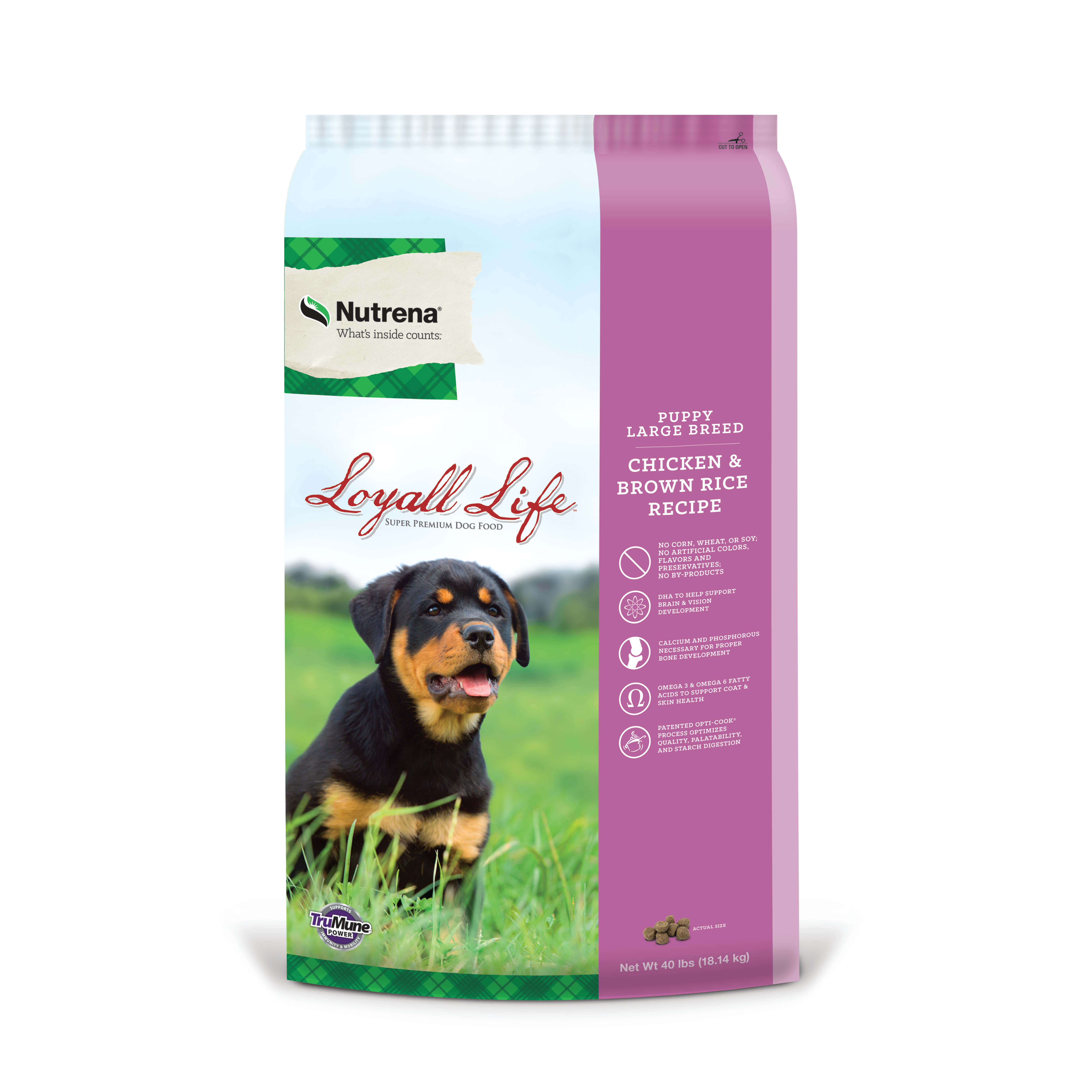 LOYALL LIFE LARGE BREED PUPPY40#