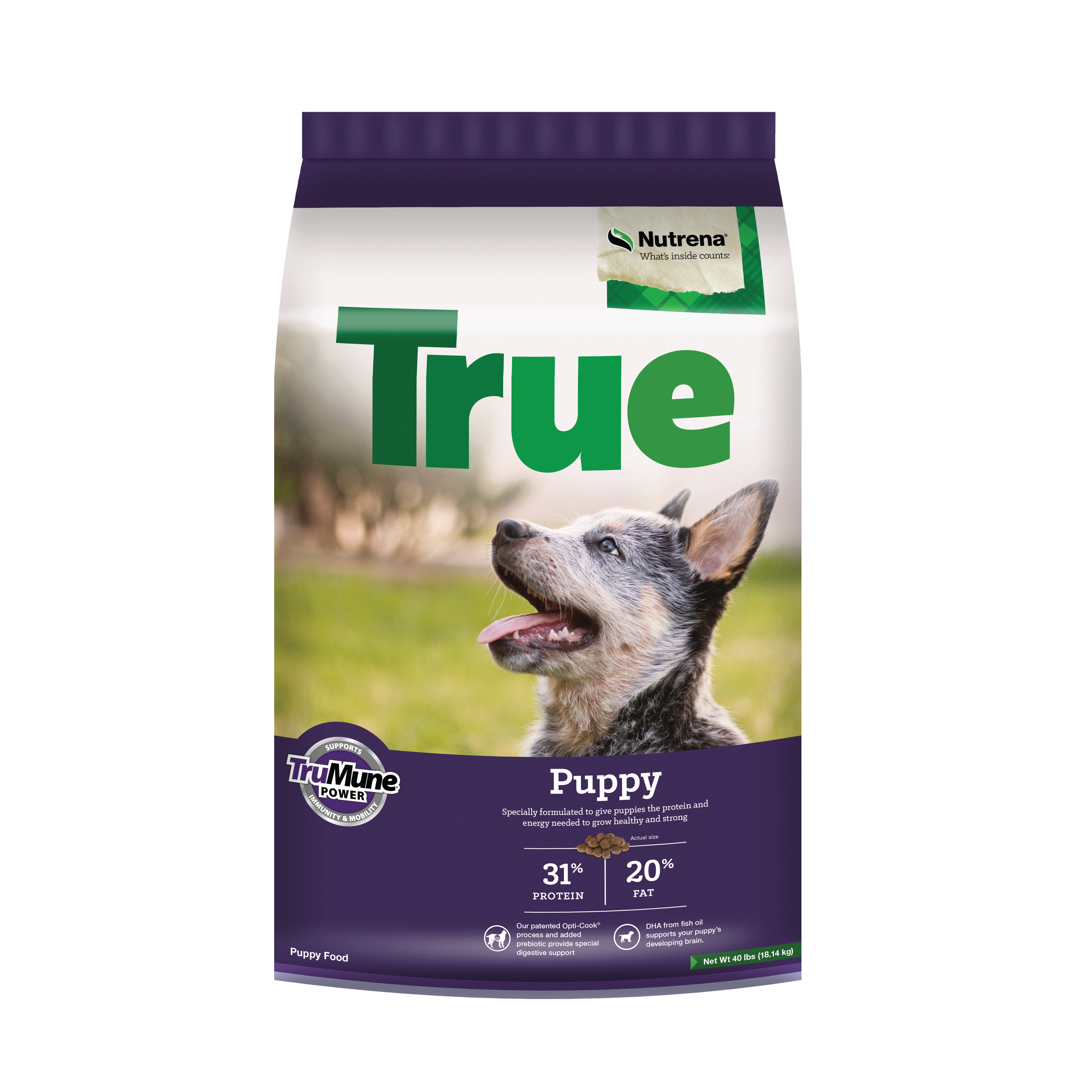 TRUE PUPPY 31-20 40#