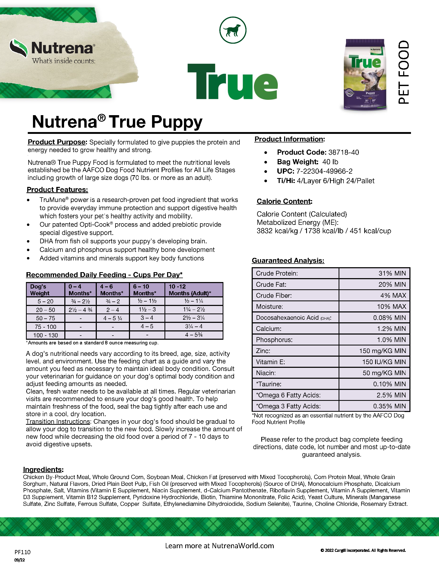 TRUE PUPPY 31-20 40#